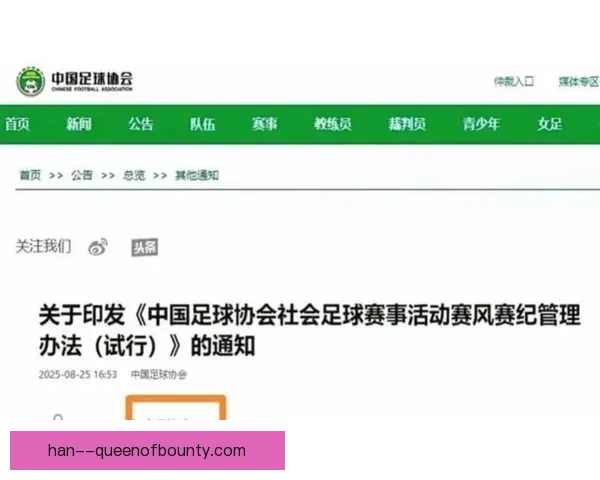 女足赛风赛纪管理严格保障比赛公平与职业精神
